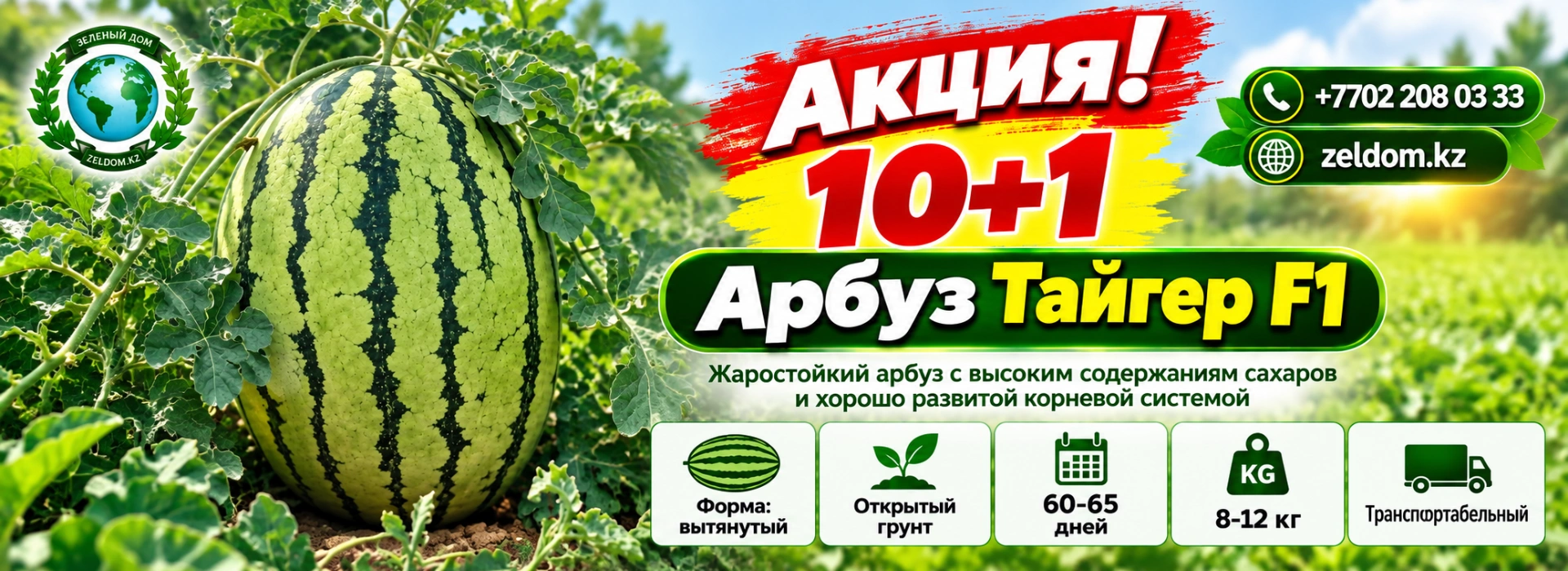 Тайгер 10+1