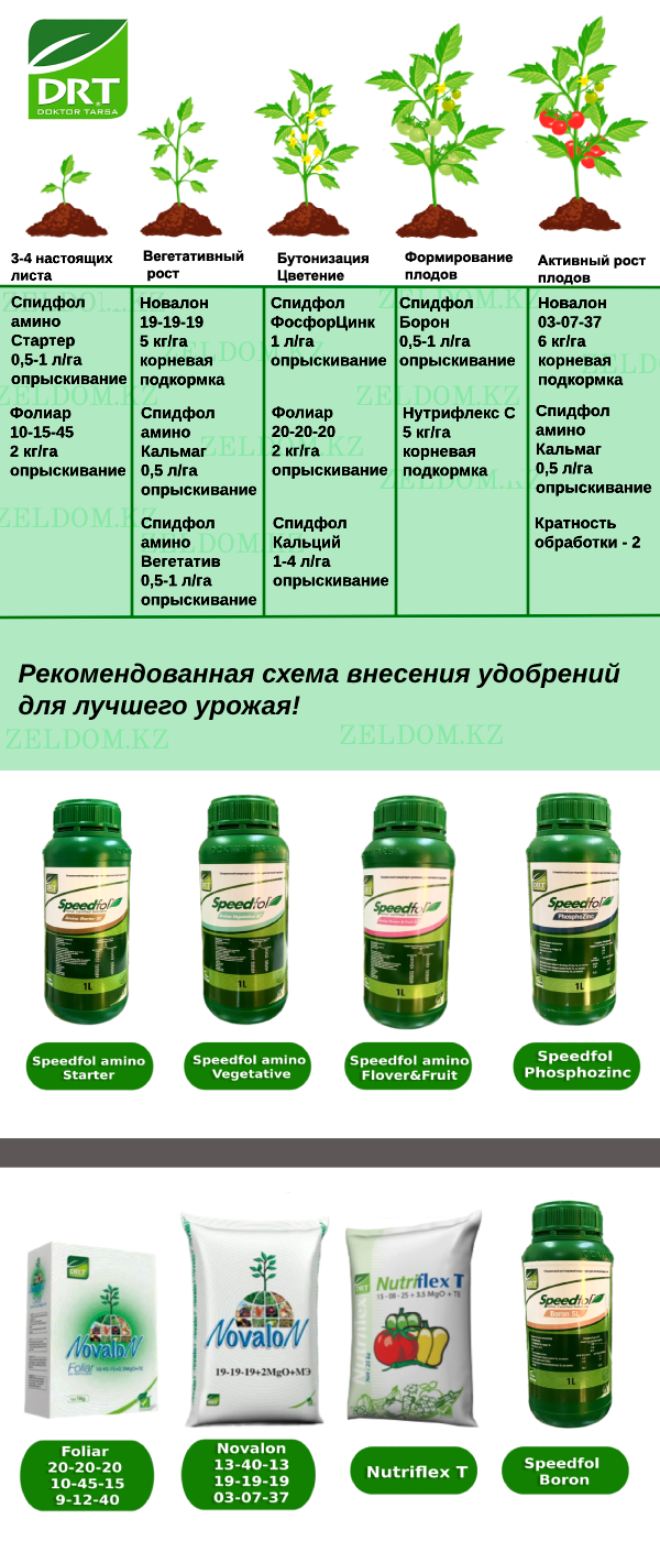 Томат аризона характеристика и описание