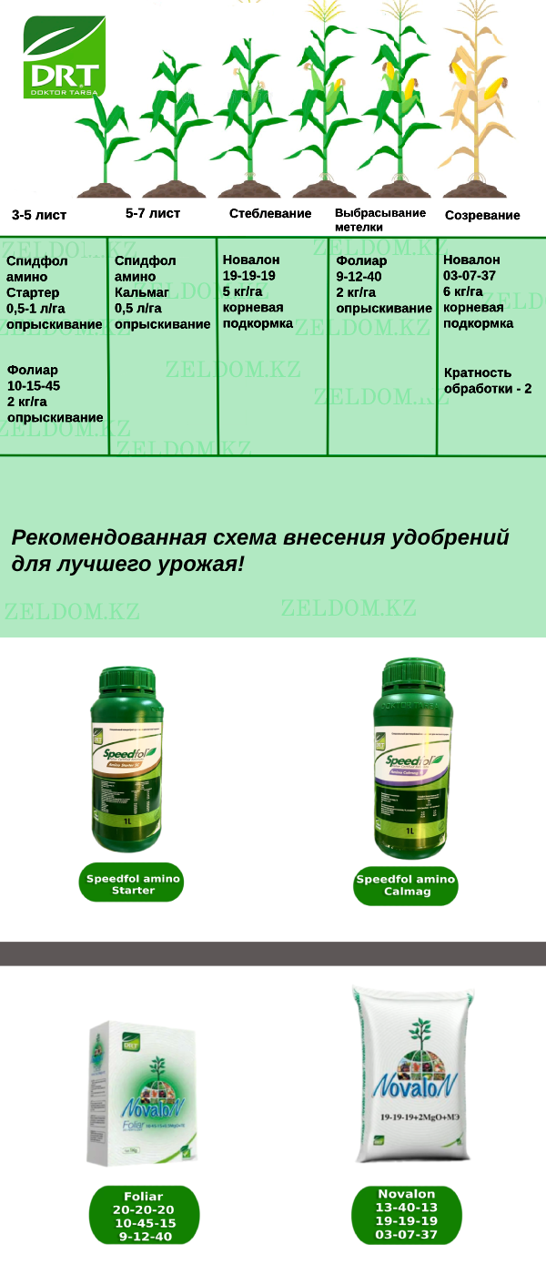 Схема внесения удобрений - Семена кукурузы